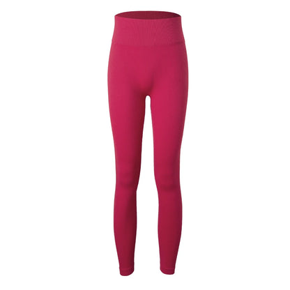 2 PCS Seamless Yoga Suit Women Sports Bra Vest High Waist Leggings Shorts Outfit Gym Set Fitness Workout Clothes Sportswear A056